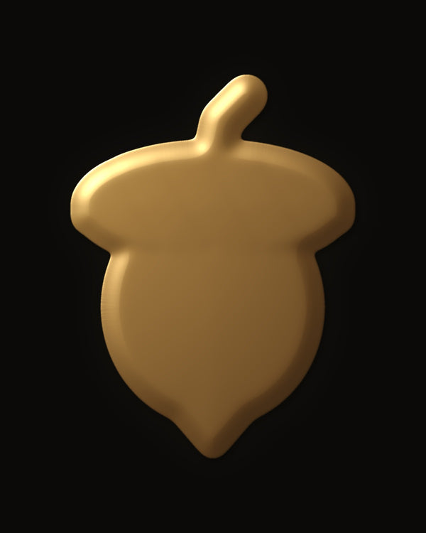 Hidden image in Golden Acorn Secret