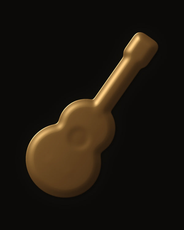 Hidden image in Acoustic Echo Guitar