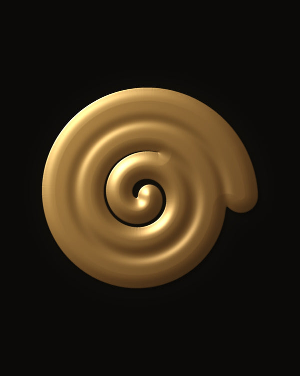 Hidden image in Endless Spiral Illusion