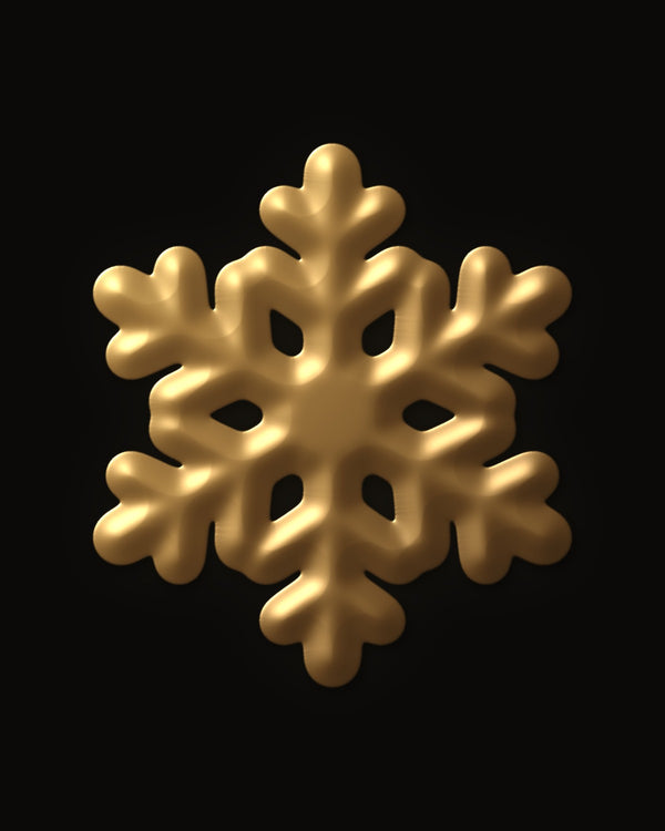 Hidden image in First Frost Snowflake