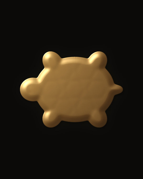 Hidden image in Wise Sea Turtle
