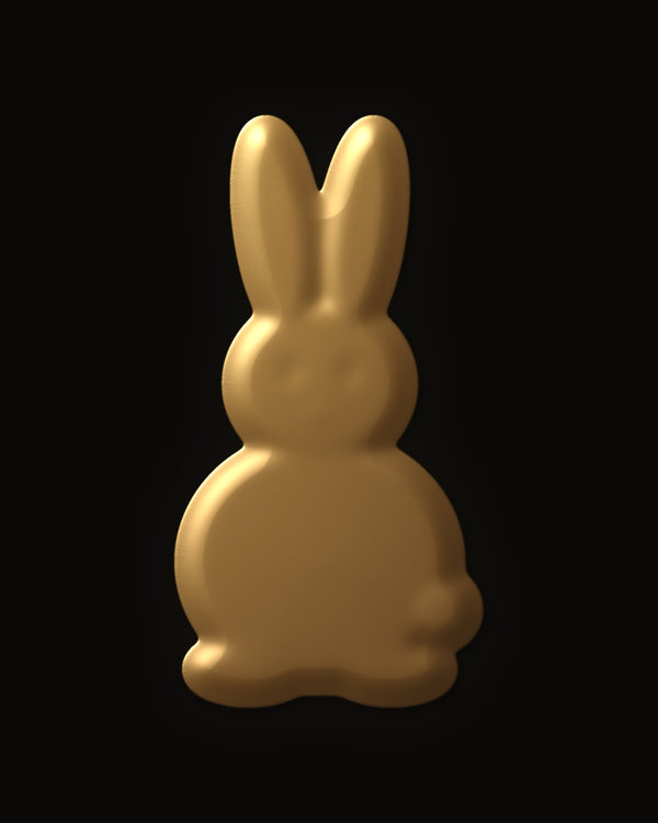 Hidden image in Hidden Bunny Hop