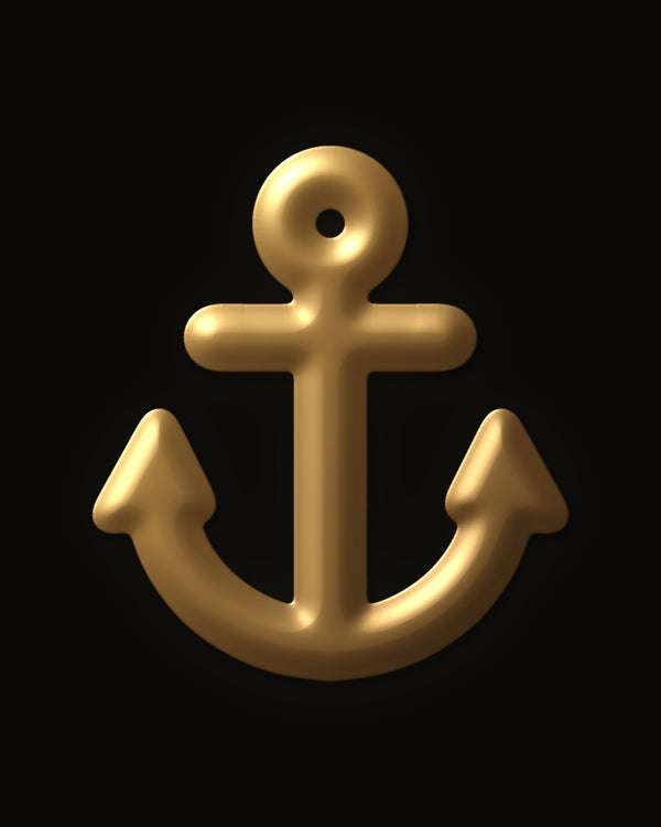 Hidden image in Steady Anchor Reveal