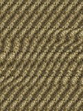 Orchard Apple Reveal full stereogram pattern, flat view