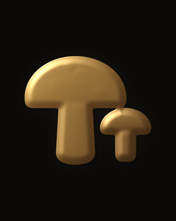 Hidden image in Forest Mushroom Hideaway
