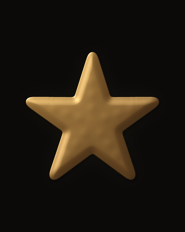 Hidden image in Tide Pool Starfish