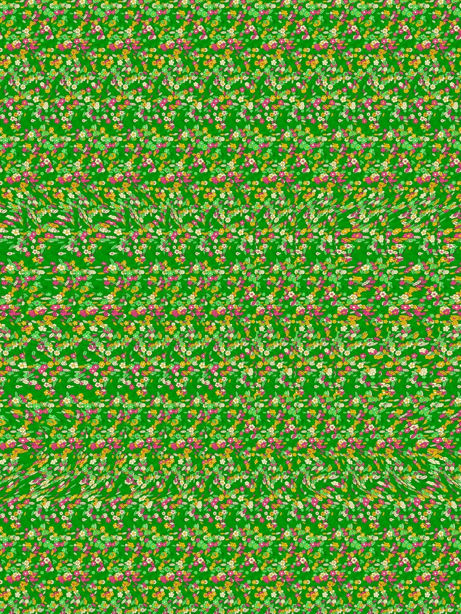 Lily Pad Frog hidden 3D image stereogram print in spring and meadow tones, full pattern flat view